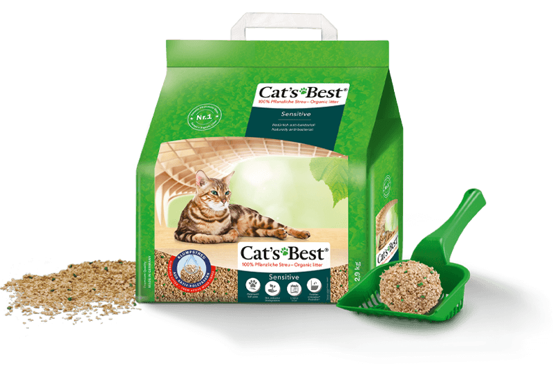 Arena Cat’s Best Sensitive