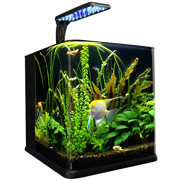 Nano Acuario Cubo 9 L Lomas