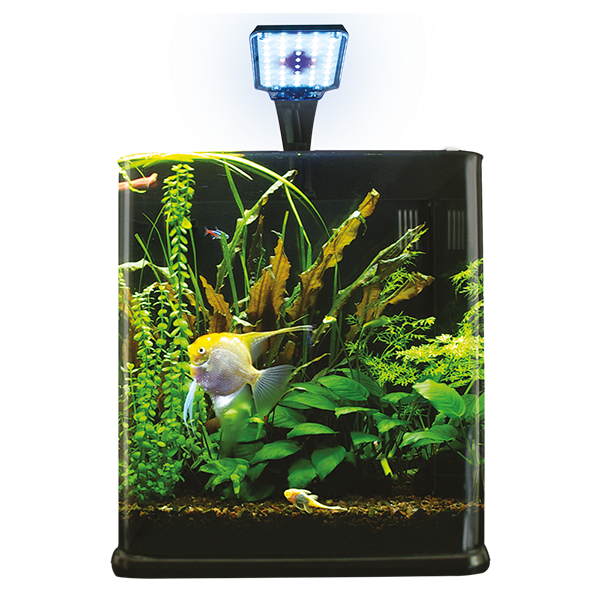 Nano Acuario Cubo 9 L Lomas