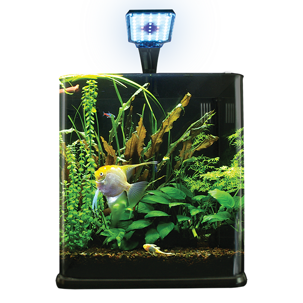 Nano Acuario Largo 14 L Lomas