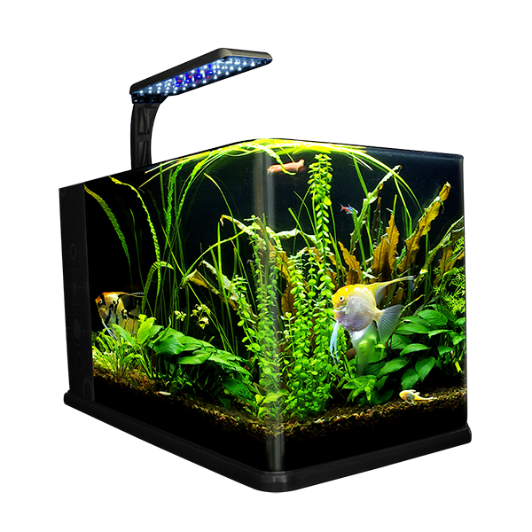 Nano Acuario Largo 14 L Lomas