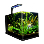 Nano Acuario Largo 14 L Lomas