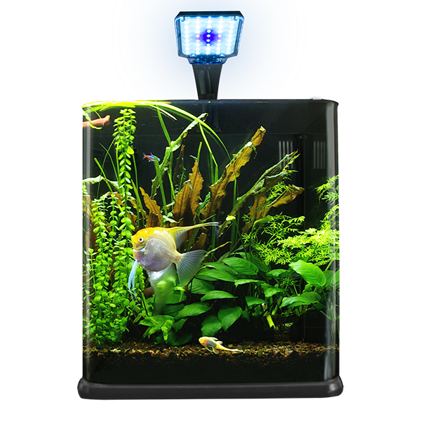Nano Acuario Cubo 18 L Lomas