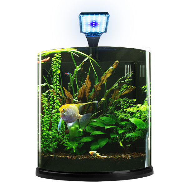 Nano Acuario Bullet 12 L Lomas