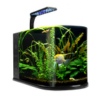 Nano Acuario Bullet 12 L Lomas