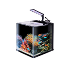 Nano Acuario Reef 18 L Lomas