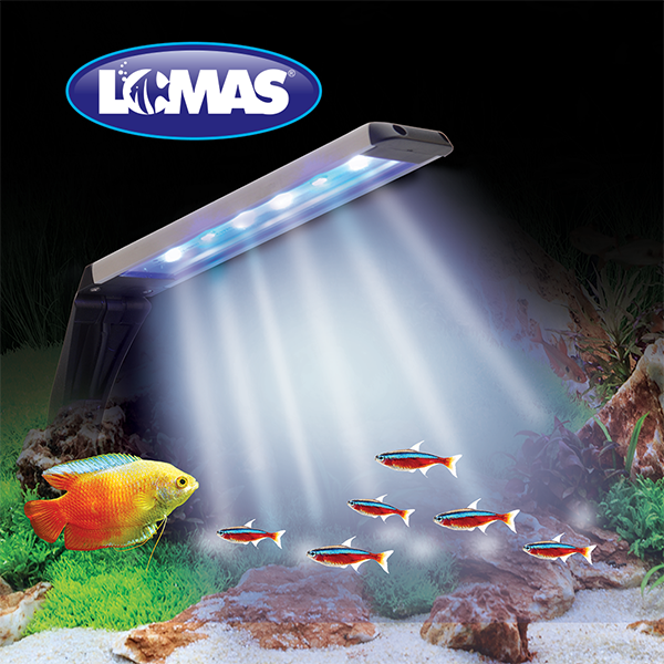 Lámpara Led Nano Spectrum 3 W (15 cm) Lomas