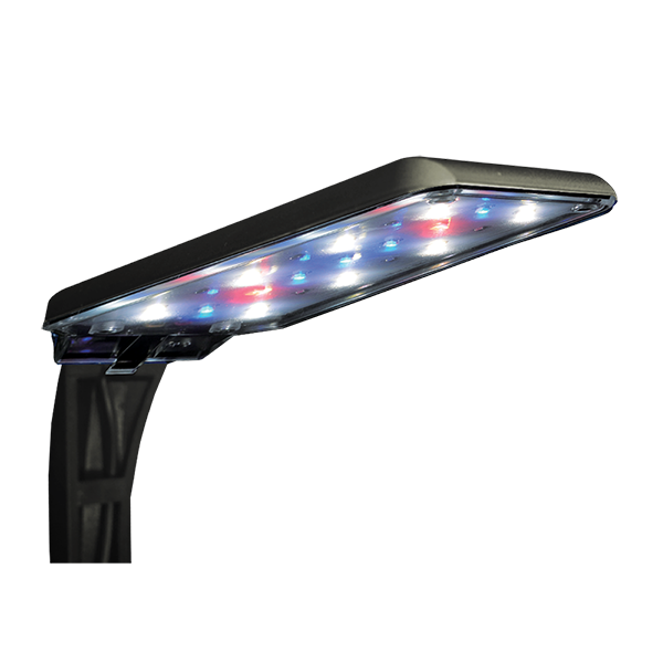 Lámpara Led Nano 5 W (18 cm) Lomas