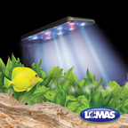 Lámpara Led Nano 5 W (18 cm) Lomas