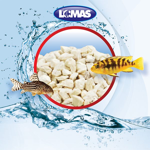 Zeolita 400 g Lomas