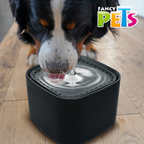 Bebedero Automático Tipo Fuente Cubo 3 L Fancy Pets