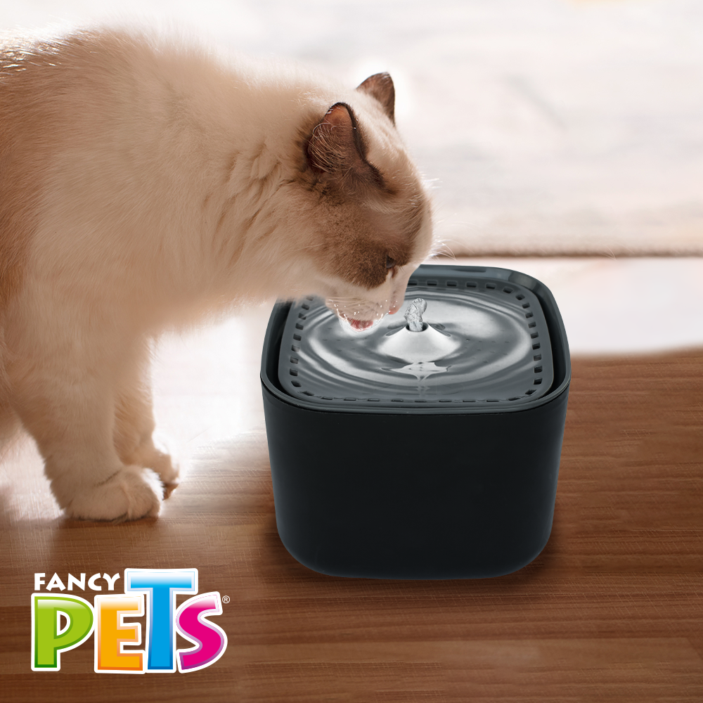 Bebedero Automático Tipo Fuente Cubo 3 L Fancy Pets