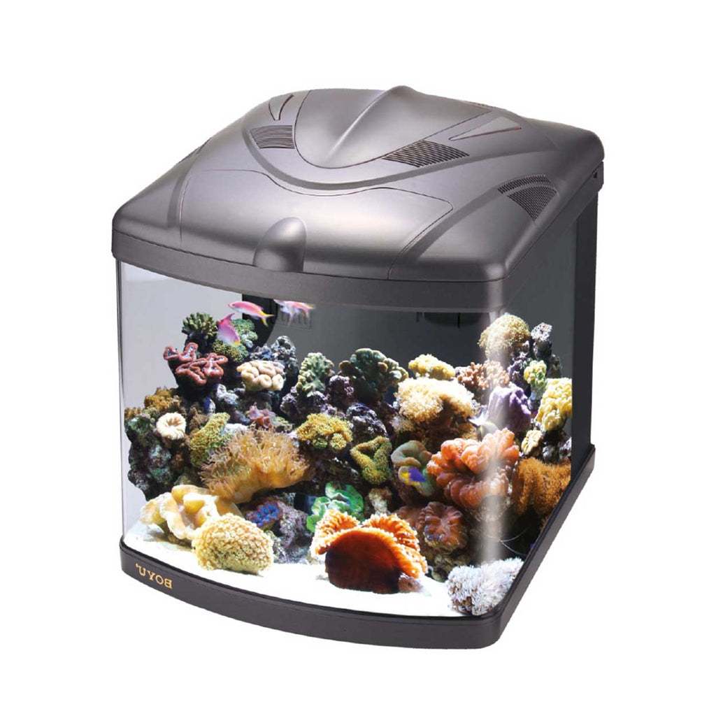 Acuario Marino BOYU TL550