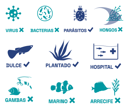 ANTI ENDOPARASITES AZOO medicamento para peces