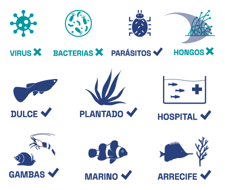 ANTI WHITE SPOT AZOO medicamento para peces