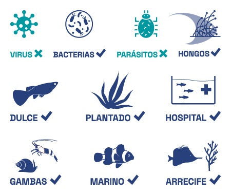 FOCUS medicamento para peces